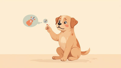 Why Is My Dog Chewing His Nails? A Guide to Finding Comfort