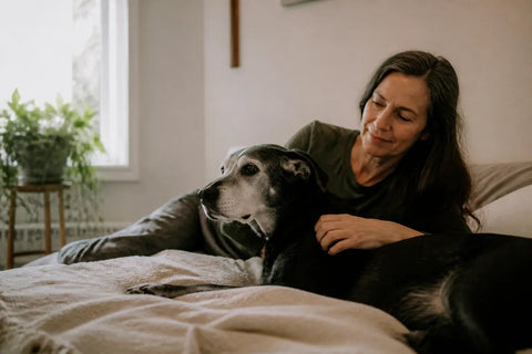 Senior dog and owner at home illustrating calming scents for dogs