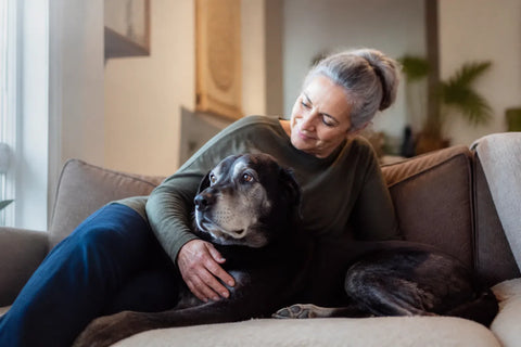 Senior dog and owner at home illustrating calming pheromones for dogs