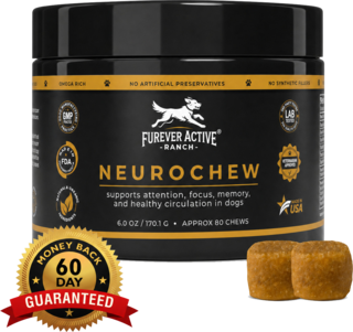 Support your dog's brain health with NeuroChew