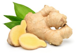 nutrient4