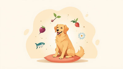 Navigating Your Dog's Worries with Gentle Anxiety Supplements