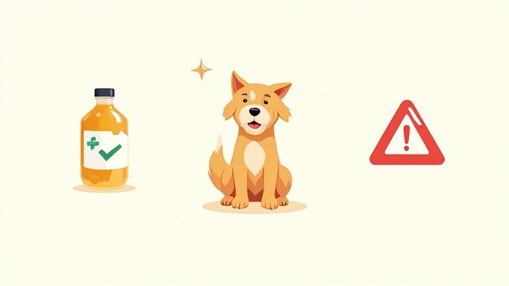 Apple Cider Vinegar for Dogs: A Guide to More Good Days