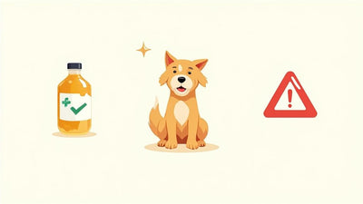 Apple Cider Vinegar for Dogs: A Guide to More Good Days