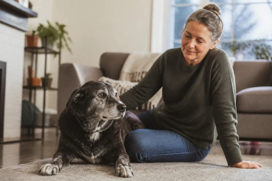 Senior dog and owner at home illustrating Best over the Counter Anxiety Meds for Dogs