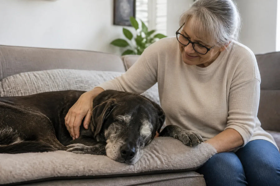Senior dog and owner at home illustrating what can i give my dog for anxiety