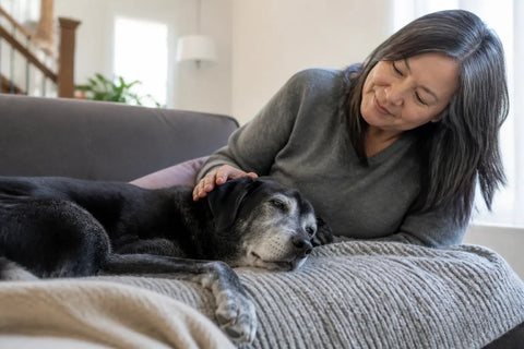Senior dog and owner at home illustrating anxiety supplements for dogs