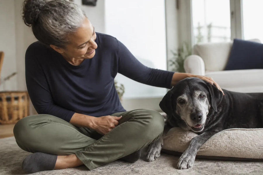Senior dog and owner at home illustrating Calming Treats for Dogs: A Practical Comparison