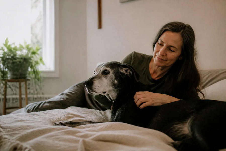 Senior dog and owner at home illustrating calming scents for dogs