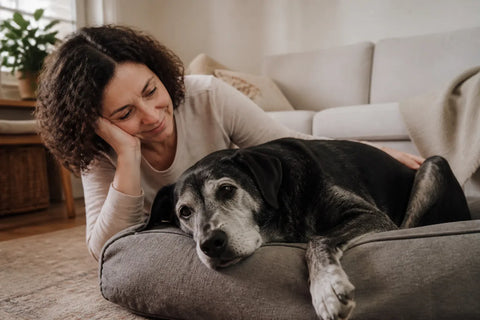 Senior dog and owner at home illustrating Dog Dementia Medication: A Practical Comparison