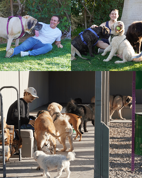 Furever Active team