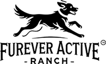 files/logo_1.png