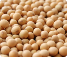 PHOSPHATIDYLSERINE