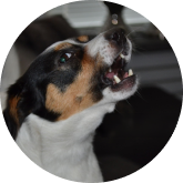 files/warning7.png