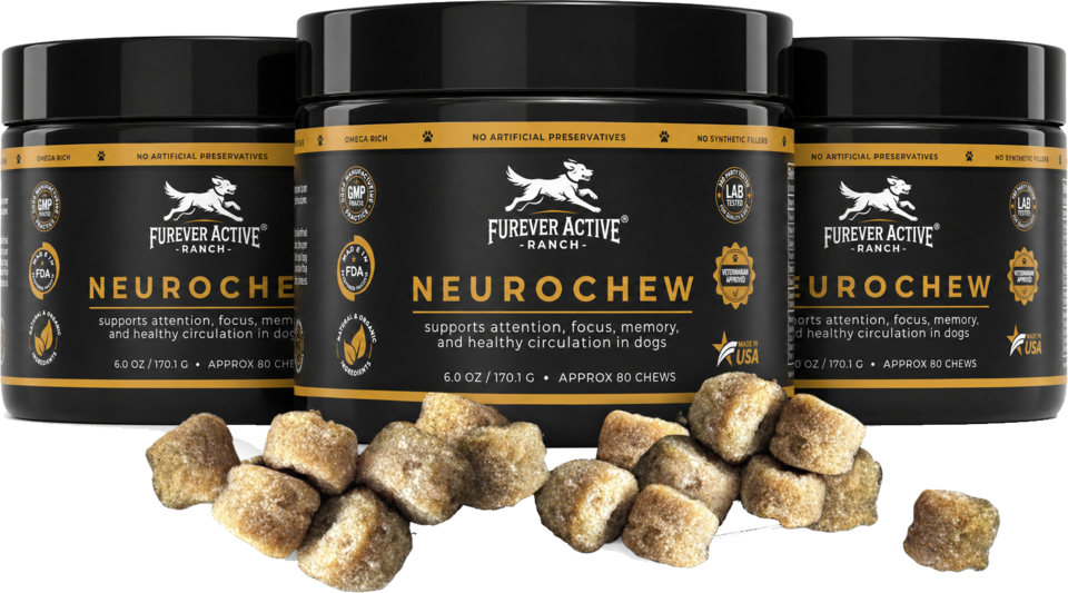 NeuroChew product bundle