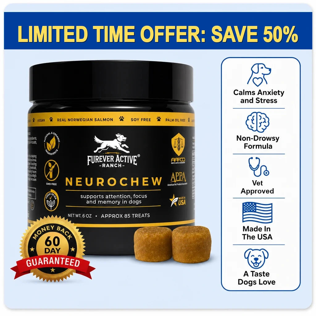 NeuroChew - Limited Time Offer: Save 50%